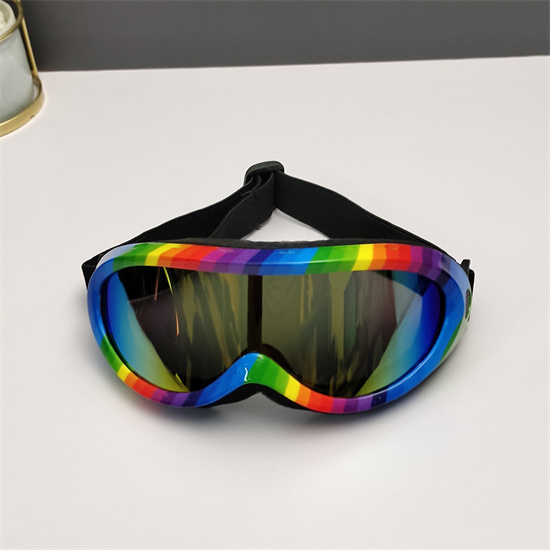 Oakley Ski Goggles 009